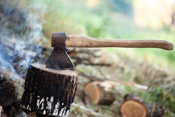 axe in tree stump and smoke from campfire - cutting tree moving down bark imagens e fotografias de stock