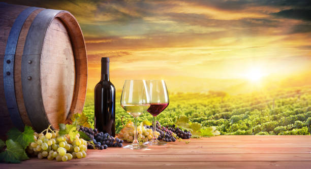 istock Wine Glasses And Bottle With Barrel In Vineyard At Sunset 831213596