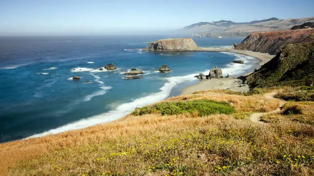 Panoramic view of the Pacific Coast from Goat Rock state park, Sonoma Coast, California, USA, from a high view point, on a sunny Summer day.