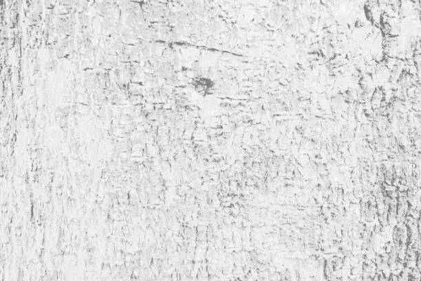 istock Grey with black and white color texture pattern abstract background can be use as wall paper screen saver brochure cover page or for presentation background also have copy space for text. 831223362