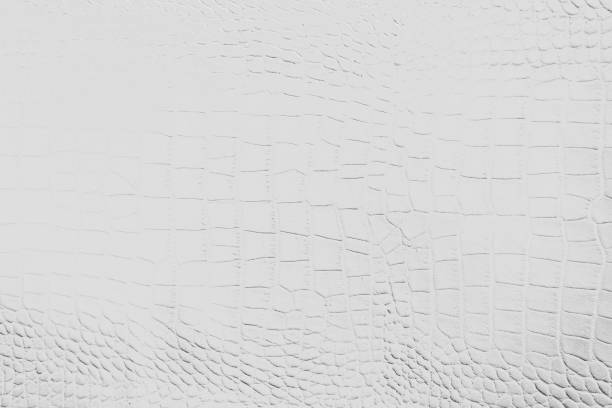 istock Grey with black and white color texture pattern abstract background can be use as wall paper screen saver brochure cover page or for presentation background also have copy space for text. 831226194