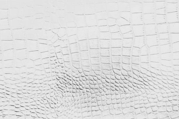istock Grey with black and white color texture pattern abstract background can be use as wall paper screen saver brochure cover page or for presentation background also have copy space for text. 831226218