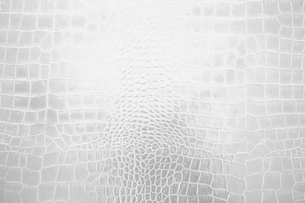 istock Grey with black and white color texture pattern abstract background can be use as wall paper screen saver brochure cover page or for presentation background also have copy space for text. 831226228