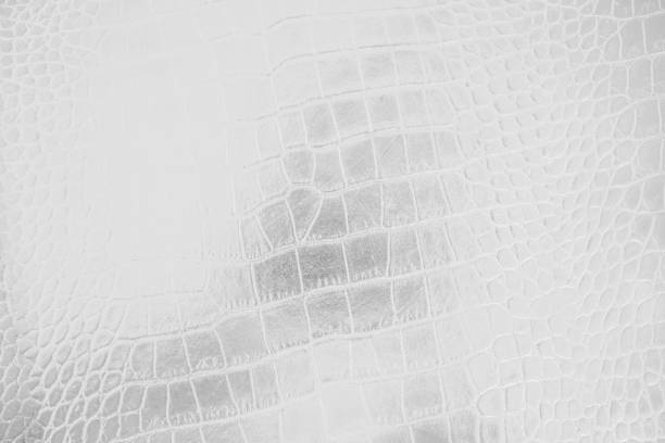 istock Grey with black and white color texture pattern abstract background can be use as wall paper screen saver brochure cover page or for presentation background also have copy space for text. 831226292