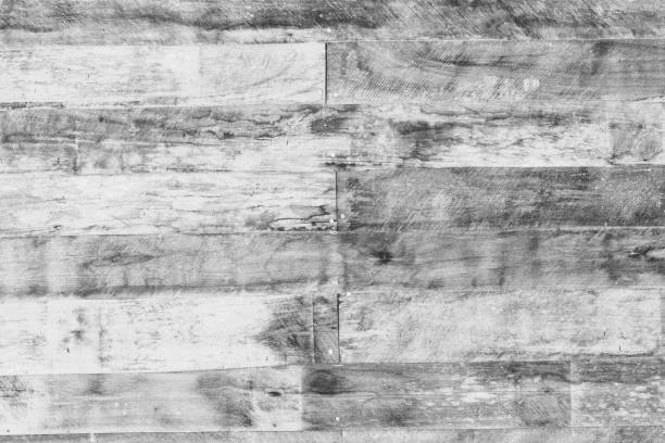 Grey with black and white color texture pattern abstract background can be use as wall paper screen saver brochure cover page or for presentation background also have copy space for text.