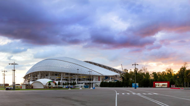 estadio olímpico de sochi en sochi, adler, rusia - confederations cup fotografías e imágenes de stock