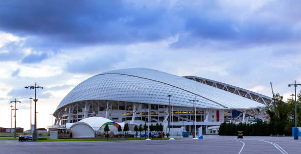 estadio olímpico de sochi en sochi, adler, rusia - confederations cup fotografías e imágenes de stock