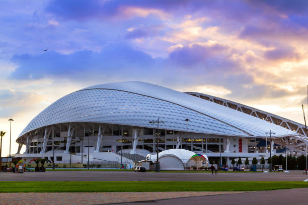 estadio olímpico de sochi en sochi, adler, rusia - confederations cup fotografías e imágenes de stock