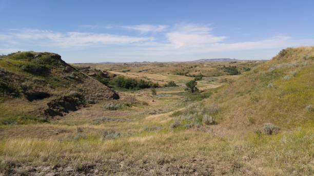 istock Theodore Roosevelt National Park 831246596