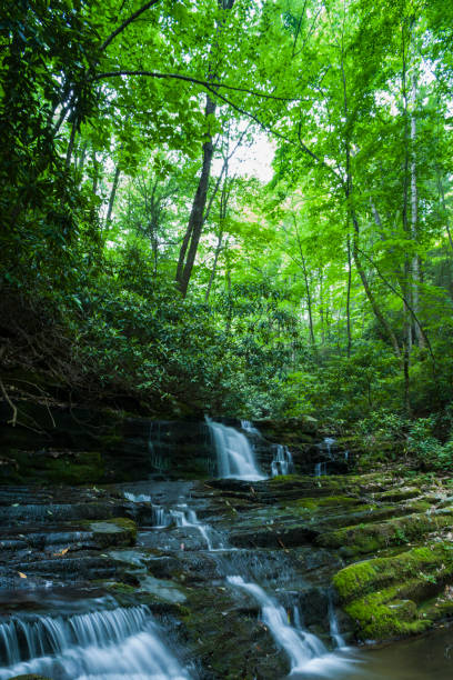 istock Stream & Waterfalls, Greenbrier, Great Smoky Mountains 831257828