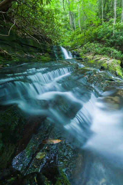 istock Stream & Waterfalls, Greenbrier, Great Smoky Mountains 831257838