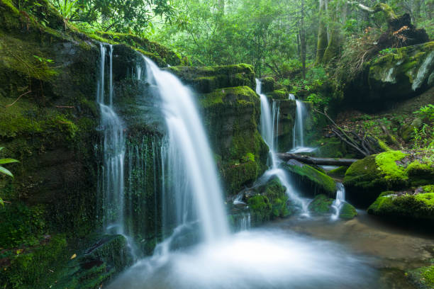 istock Stream & Waterfalls, Greenbrier, Great Smoky Mountains 831257878