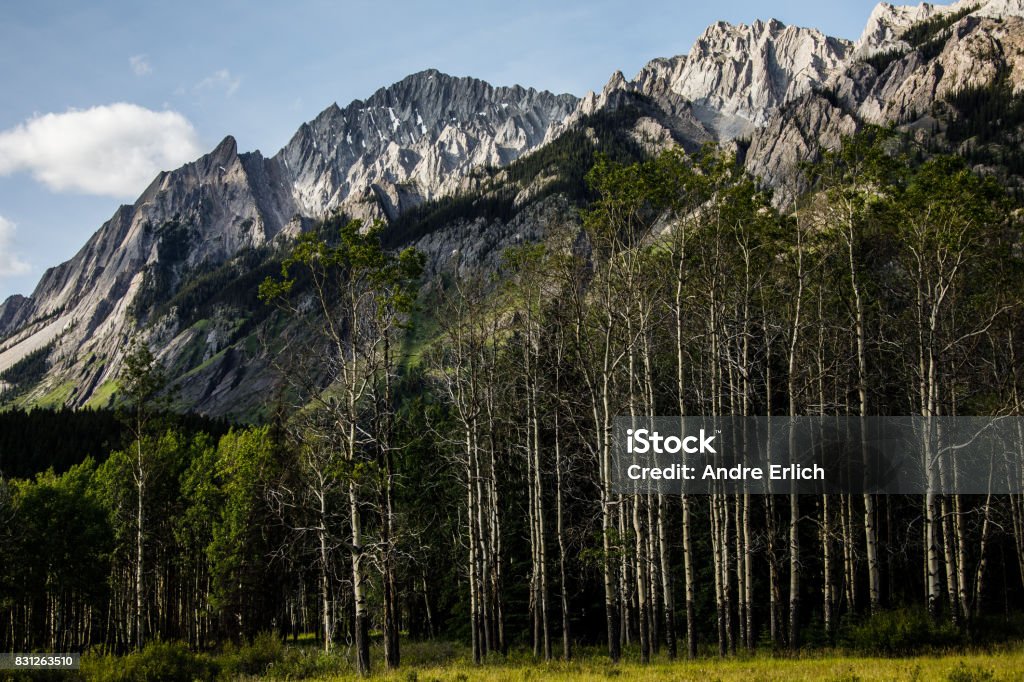 Banff National Park 2017 One of the jewels of Canadian National Parks, Banff National Park is a real pleasure to photograph. In the summer time, the wake-up for the sunrise is early and the wait for sunset is long but it's certainly worth it. Alberta Stock Photo