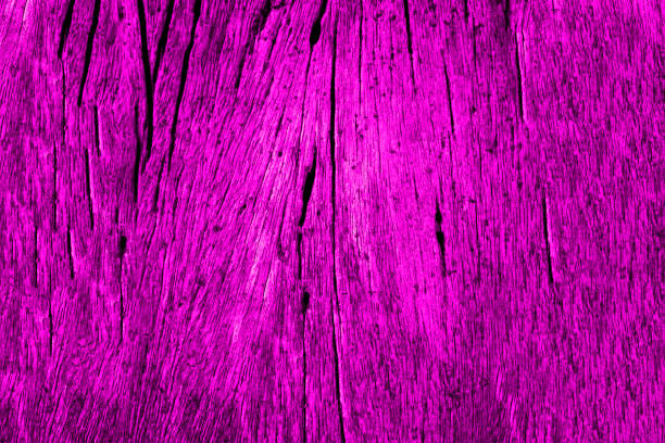 istock Violet or purple color texture pattern abstract background can be use as wall paper screen saver brochure cover page or for presentation background also have copy space for text. 831264572