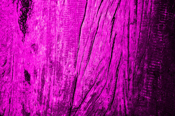 istock Violet or purple color texture pattern abstract background can be use as wall paper screen saver brochure cover page or for presentation background also have copy space for text. 831266818