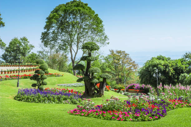 istock Gardens with flowers and ornamental plants. 831270576