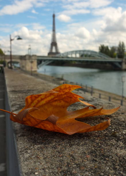 istock Melancholic view of Paris 831277840