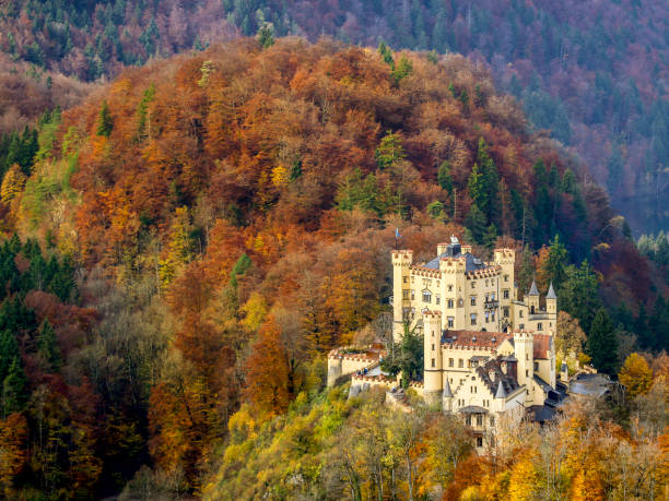 замок хоэншвангау - hohenschwangau castle стоковые фото и изображения