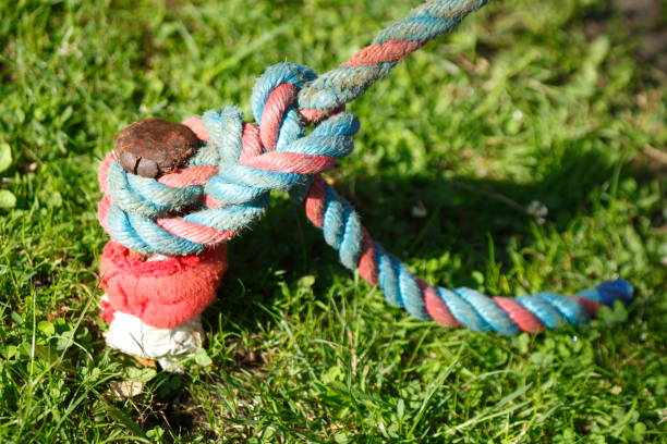 istock Knotted ship jam on a bollard in port 831296200
