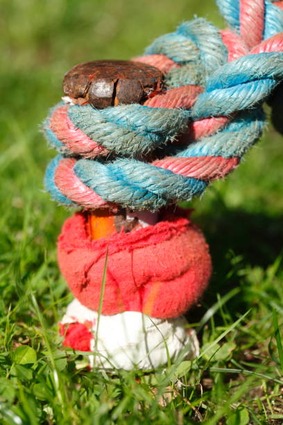 istock Knotted ship jam on a bollard in port 831296256