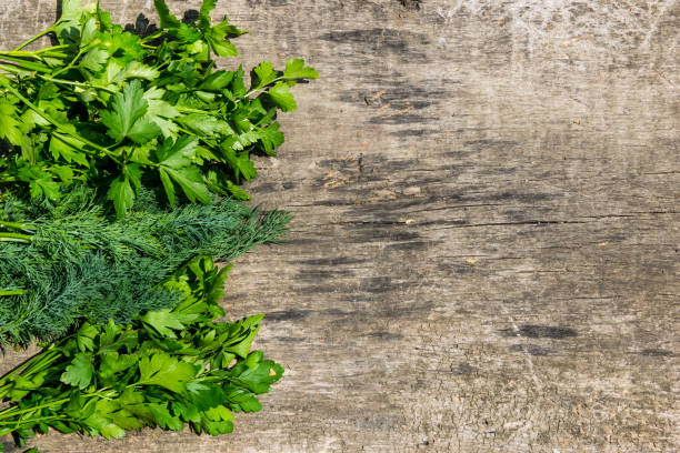istock Fresh green dill and parsley herbs on rustic wooden table. Top view with copy space 831299644