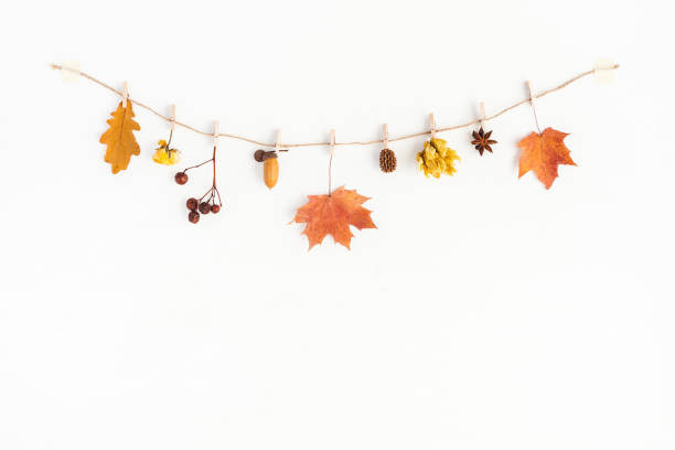 istock Autumn flowers and leaves composition. Flat lay, top view 831300058