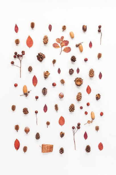 istock Pattern made of autumn things. Flat lay, top view 831302914