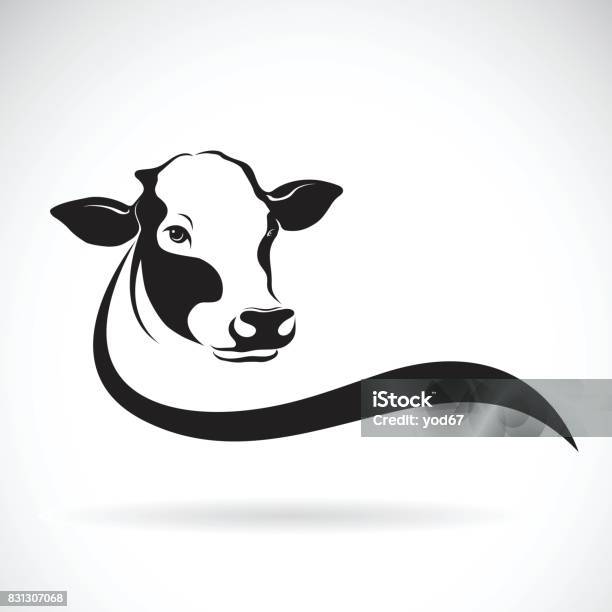 Vecteur Dun Dessin De Tête De Vache Sur Fond Blanc Animaux De Ferme Vecteurs libres de droits et plus d'images vectorielles de Vache