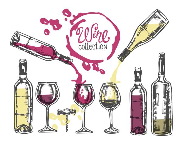 ręcznie rysowana kolekcja win doodle. - cork wine corkscrew old stock illustrations