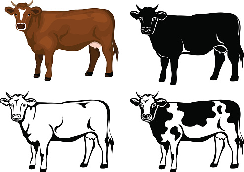 Cow in brown color, silhouette, contour and patched silhouette set