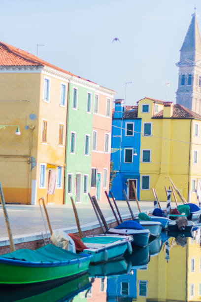 istock colorful houses in Burano 831311548