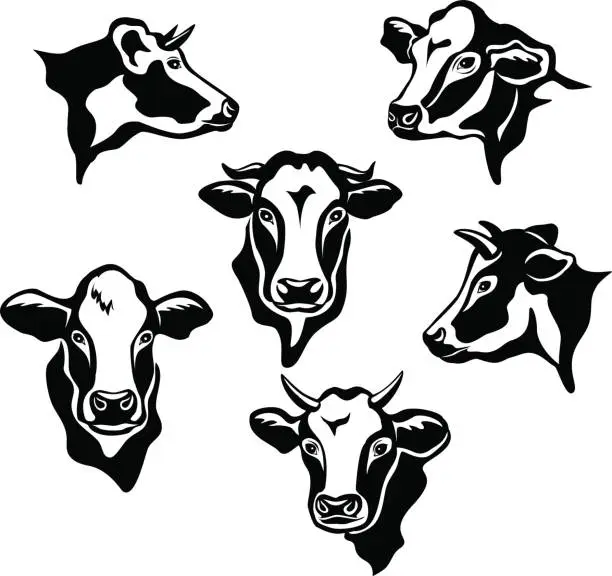 Vector illustration of Cows Cattle Portraits silhouettes set