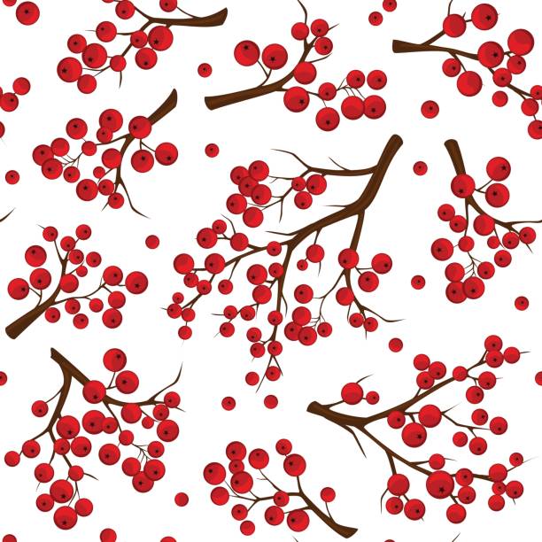 бесшовная текстура узора с красными ветвями рябиных ягод на белом фоне - red berry stock illustrations