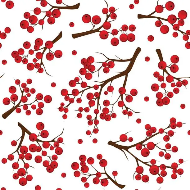 Vector illustration of Seamless pattern texture with red rowan berries branches over white background
