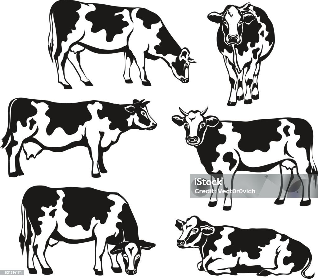 Holstein cattle silhouette set. Cows front, side view, walking, lying, grazing, eating, standing Cow stock vector