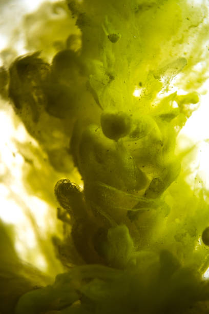 istock yellow ink in water isolated on white background 831314682