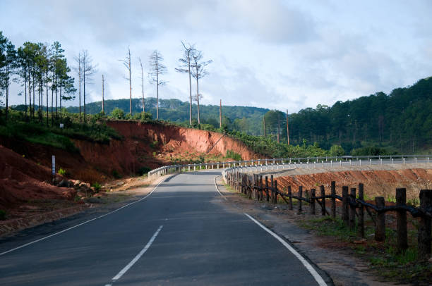 New road into pine forest, Dalat city, Lam Dong, Vietnam Khanh Le pass through Nha Trang beach city to Dalat Highland fang xiang stock pictures, royalty-free photos & images