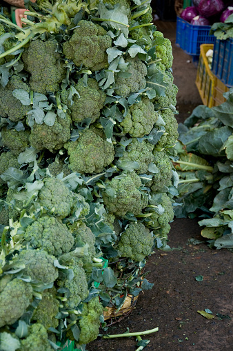 Dalat Market represents the very heart of Dalat City, a shopping opportunity right in the center. Local produce such as fresh artichokes, dried fruits, vegetables ...\n