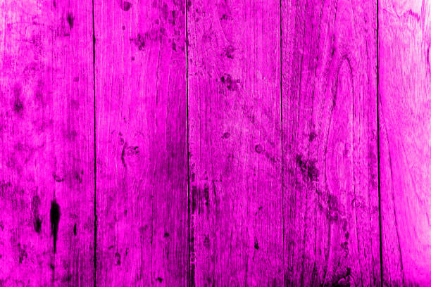 istock Violet or purple color texture pattern abstract background can be use as wall paper screen saver brochure cover page or for presentation background also have copy space for text. 831319306