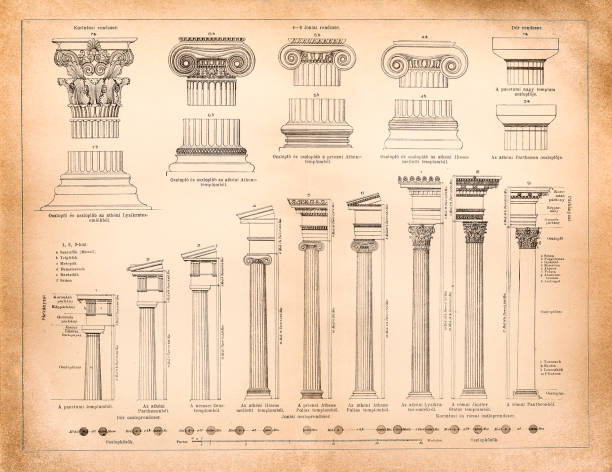 греческие и римские системы колонн - corinthian column stock illustrations