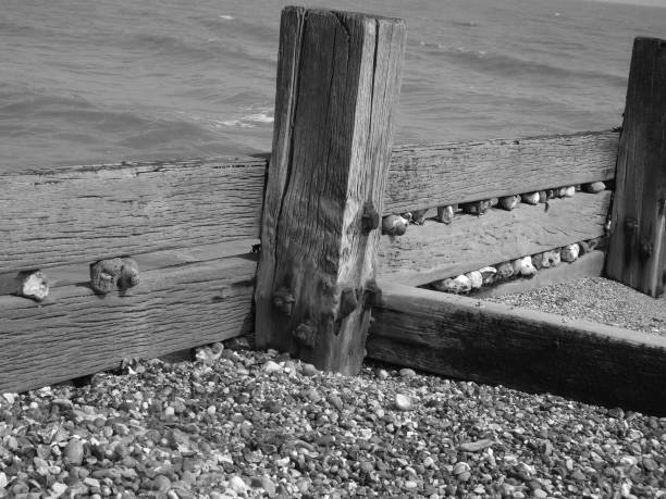 wooden groynes on the beach