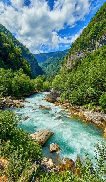 istock Mountain fresh and cold river in summer time under cloudy sunny blue sky 831333030