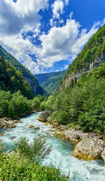 istock Mountain fresh and cold river in summer time under cloudy sunny blue sky 831333276