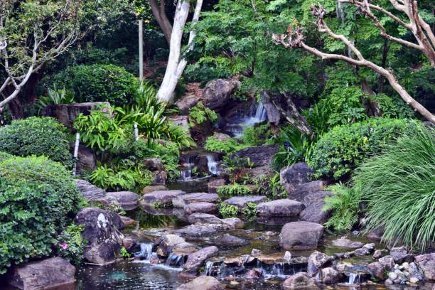 istock Waterfall in Australian National Park 831334782