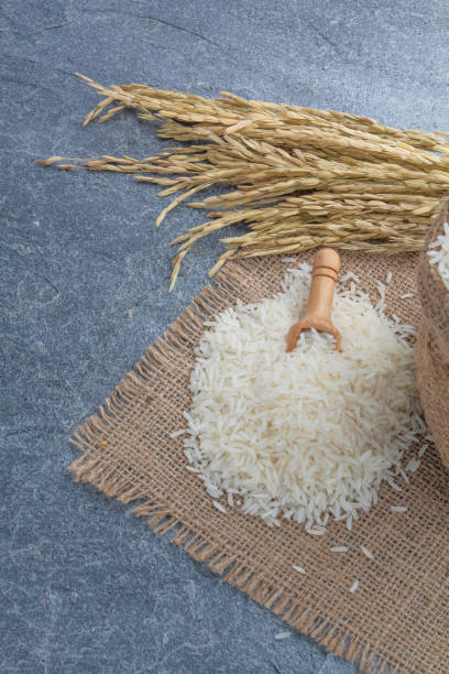 istock thai fragrant jasmine rice in a spoon with gold spike on Sack 831338742