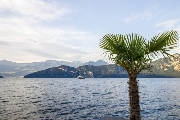 istock Lake Lucerne in Switzerland 831338752