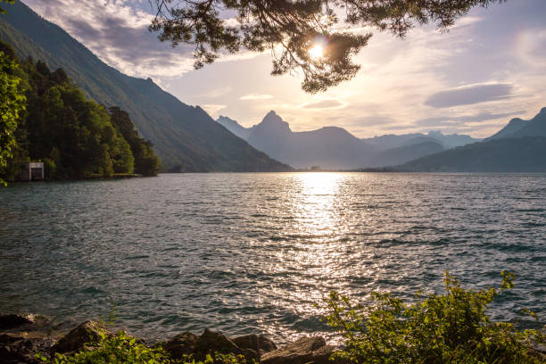 istock Lake Lucerne in Switzerland 831338814