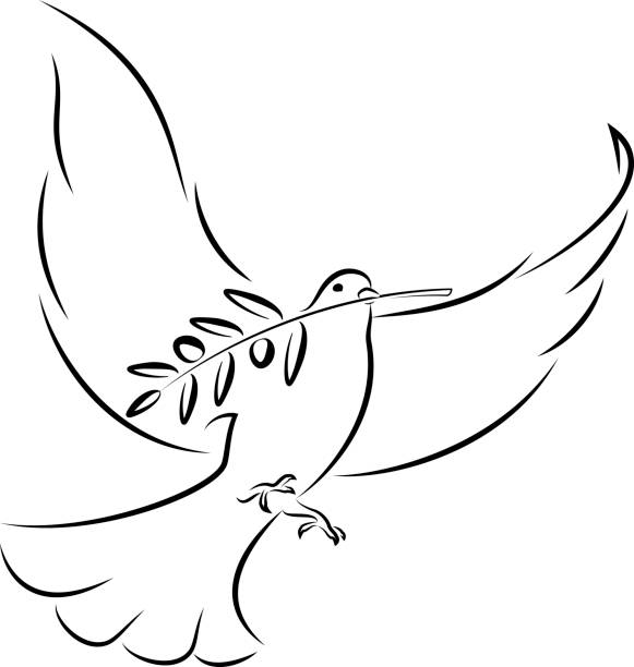 White Dove With Olive Branch vector art illustration