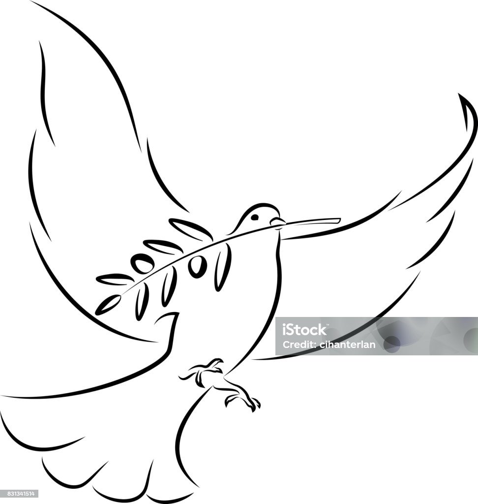 Chim Bồ Câu Trắng Với Cành Ô Liu Hình minh họa Sẵn có - Tải xuống ...