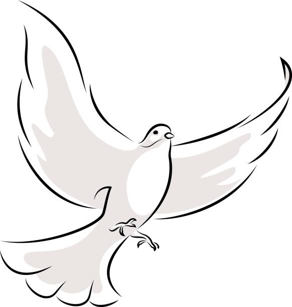 White Dove vector art illustration